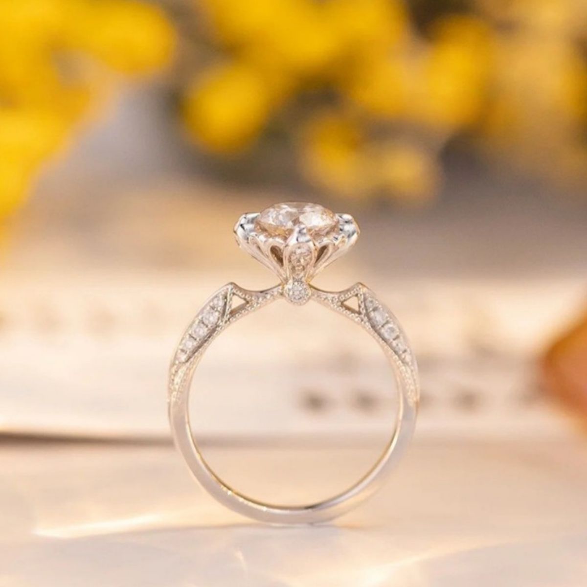 3e591ed8-07be-4ff0-94e6-d912fa87bacd-Max